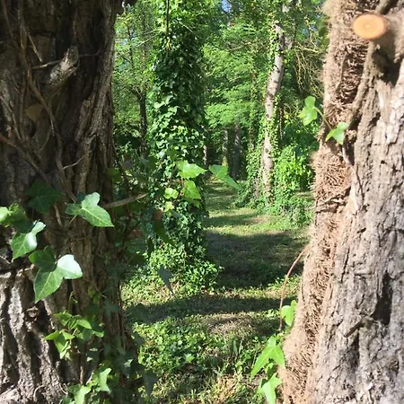 Le Logis De La Soloire 3 Etoiles Nercillac