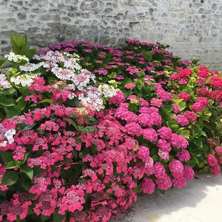 Le Logis De La Soloire 3 Etoiles