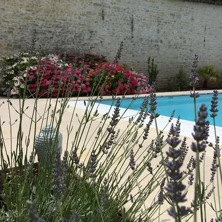 Le Logis De La Soloire Nercillac