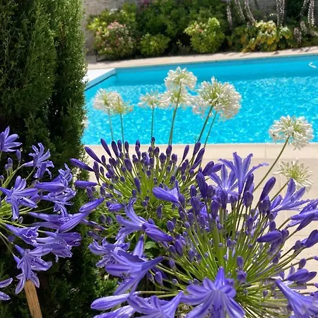 Tatil Evi Le Logis De La Soloire 3 Etoiles Nercillac