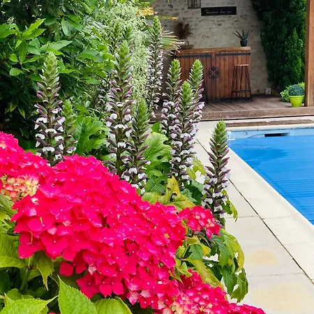 Le Logis De La Soloire 3 Etoiles Nercillac