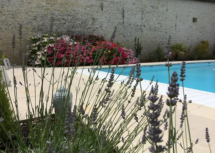 Le Logis De La Soloire Nercillac